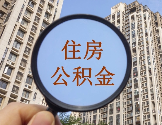 桐乡退休后查不到公积金明细了吗（退休后公积金查询不到原因）